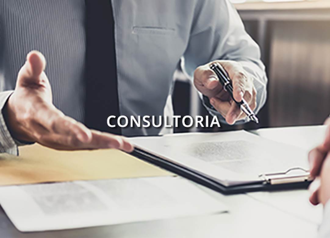 01-Consultoria-Proyectos-img-home